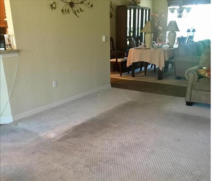 dirty carpet, amplified by the moved entertainment center showing a clean area