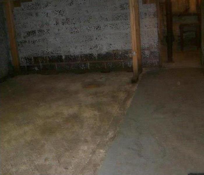 Basement with brick walls and concrete floor