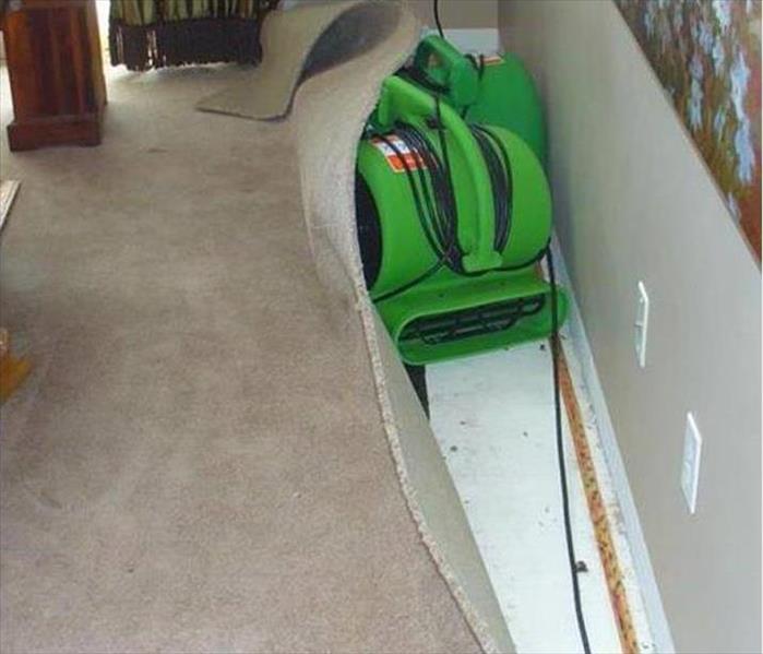carpet lifted up from wall with an air mover blowing air