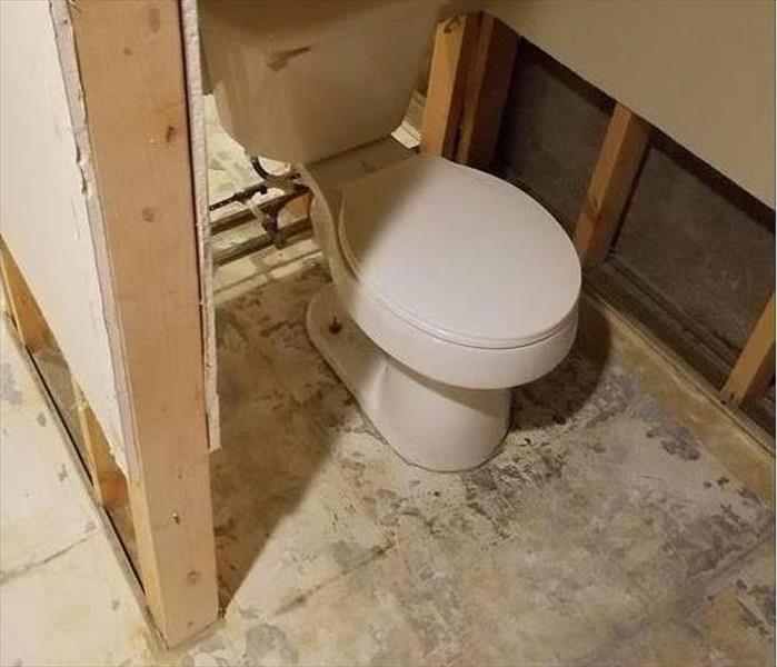 Toilet with flooring removed and wall studs exposed