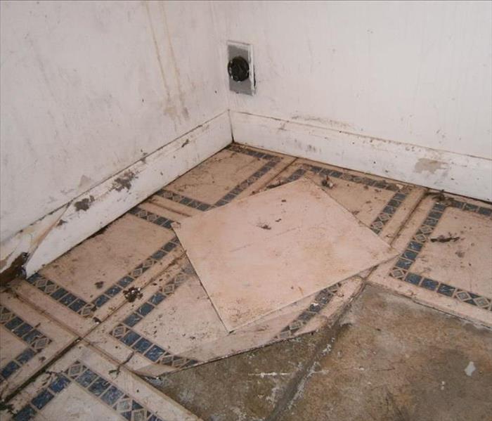 Tile With Water Damage